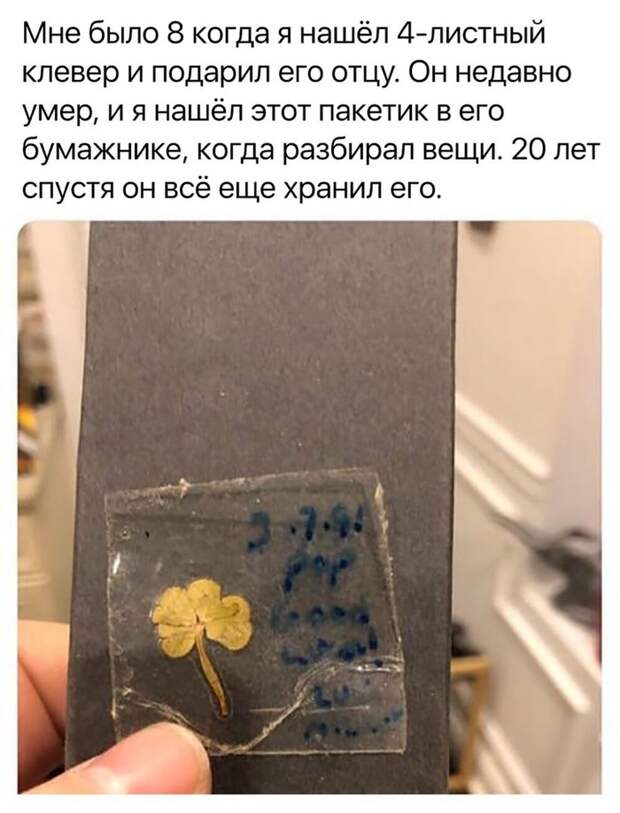 Родители Родители