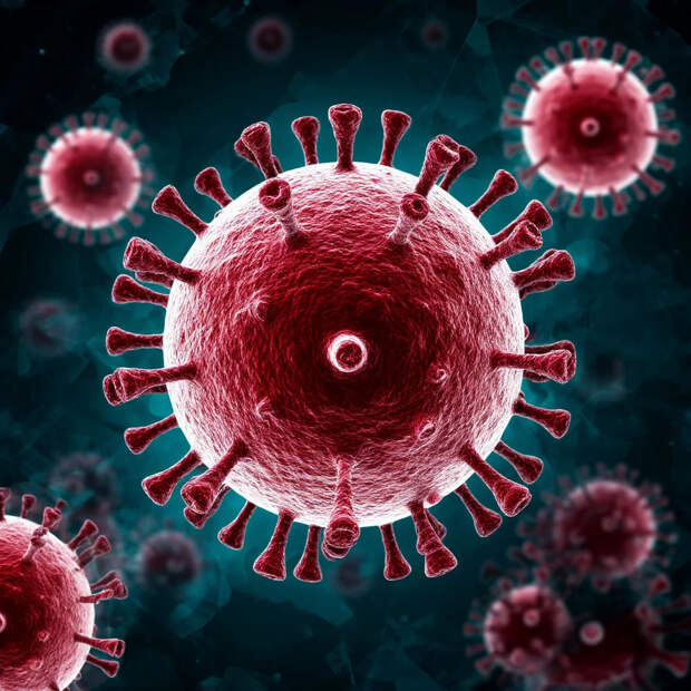 Доктор Мясников назвал группу людей, которых рак обходит стороной