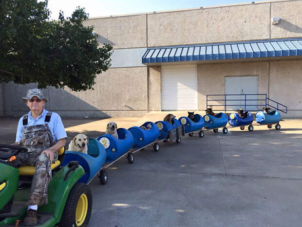 80-year-old Man Build This Train To Take Rescued Stray Dogs On Adventures