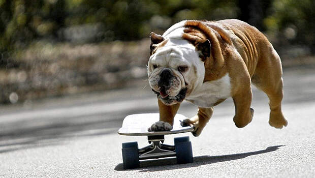 Фото: wallsave.com