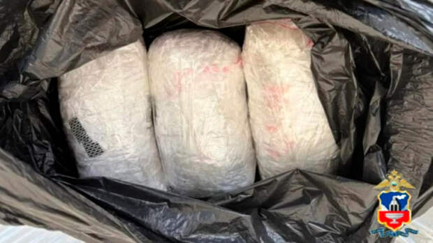 В Барнауле два молодых мигранта гуляли по городу с 4,5 кг наркотиков в рюкзаке