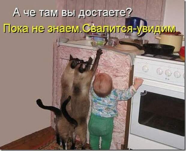 a1402aaa5a120c0bd928eb88f51_prev