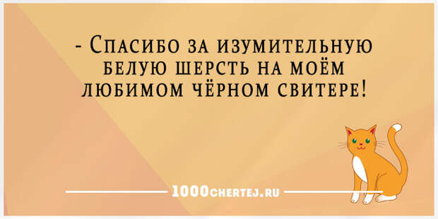 30 фраз