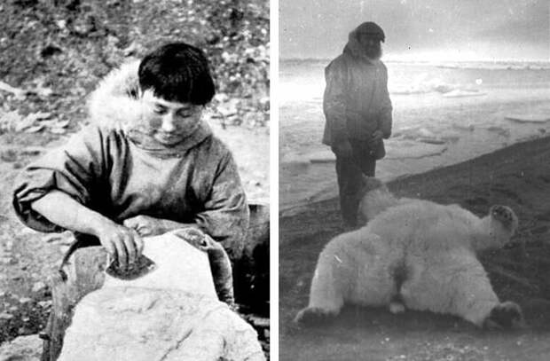 Ада обрабатывает шкуру (слева). Кроуфорд и поверженный белый медведь (справа) Ада Блэкджек, арктика, интересно, история, познавательно, факты