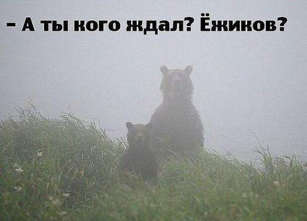 Забавные свежие мемы (понедельник)