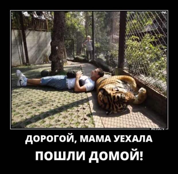 Прикольные демотиваторы с надписями. Подборка chert-poberi-dem-chert-poberi-dem-19320421092020-6 картинка chert-poberi-dem-19320421092020-6