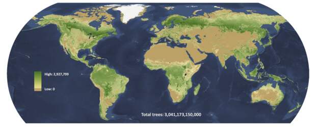 По последним подсчетам, в мире три триллиона деревьев, но и эти цифры могут быть занижены: данных по тропическим лесам не очень много. К тому же согласно новой работе получается, что в Амазонии деревья стоят менее плотно, чем на далеком Севере, во что не слишком просто поверить / ©Crowther et al.