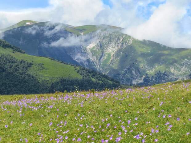 Лагонакский хребет.