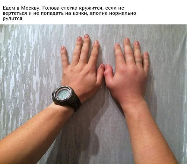 www.vsyako.net