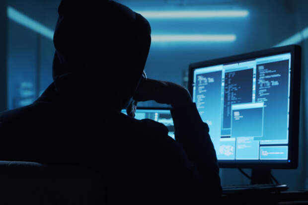 Бастрыкин: россиянину дали 5 лет колонии за хакерскую атаку на "Детский мир"