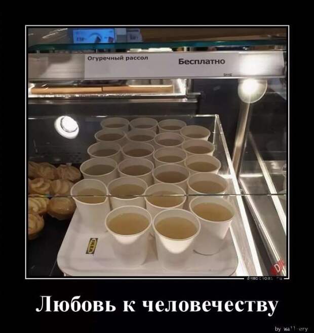 Прикольные демотиваторы с надписями. Подборка chert-poberi-dem-chert-poberi-dem-19320421092020-15 картинка chert-poberi-dem-19320421092020-15