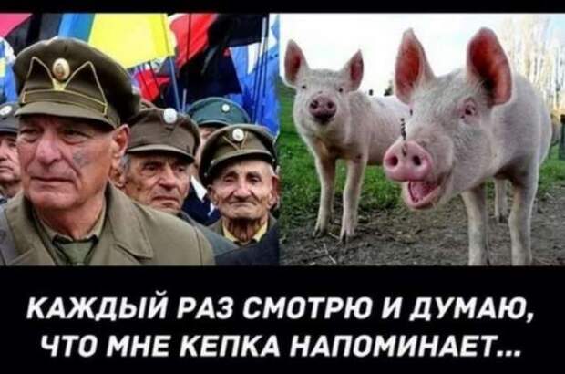 Прикольные демотиваторы с надписями. Подборка chert-poberi-dem-chert-poberi-dem-30200303112020-4 картинка chert-poberi-dem-30200303112020-4