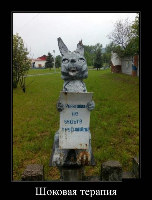 Демотиваторы