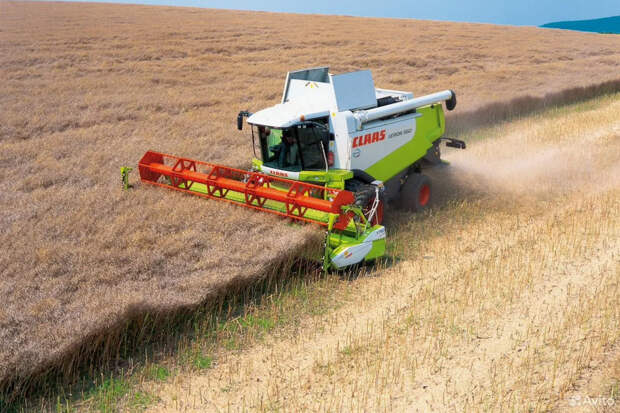 В Тульской области выставили на продажу сельхозпредприятие за 2,5 млрд рублей