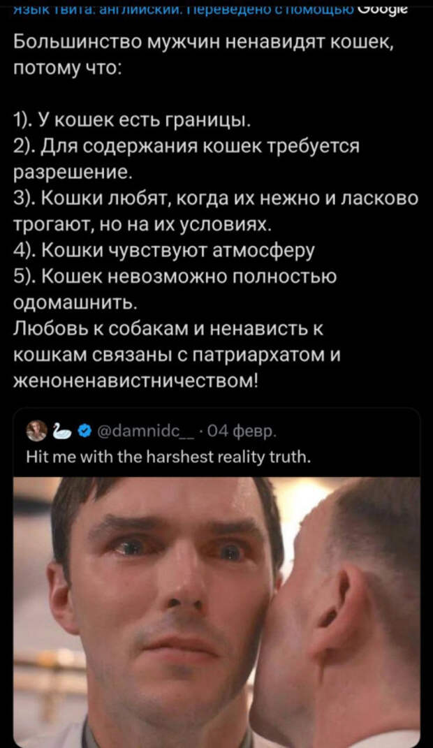 Коши и патриархат