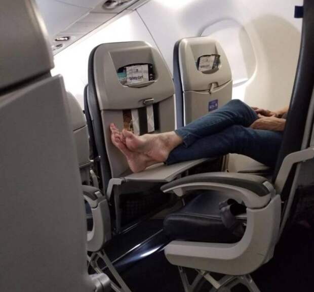 Подборка картинок. Дневной выпуск (31 фото)