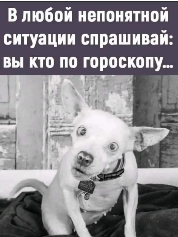 Почему я в детстве любил сильные снегопады? У меня машины не было! Почему я в детстве любил сильные снегопады? У меня машины не было! когда, только, можно, приходит, народ, горючее, смотреть, чтобы, подвиг, ничего, Вовочка, понял, экзамене, интервью, говорите, Джейн, некультурный, между, редакцию, Первого