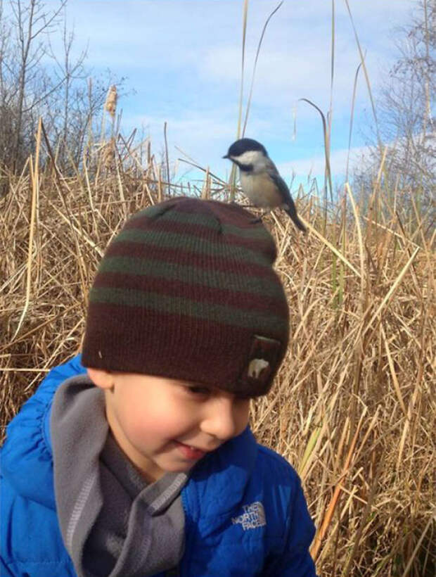 Happened To Have My Phone Ready As Our Little Friend Landed On My Son