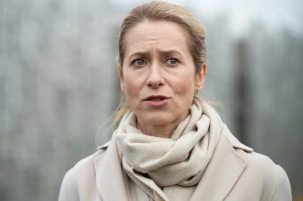 Отказала Зеленскому: стало известно о тайных контактах Каллас в Киеве