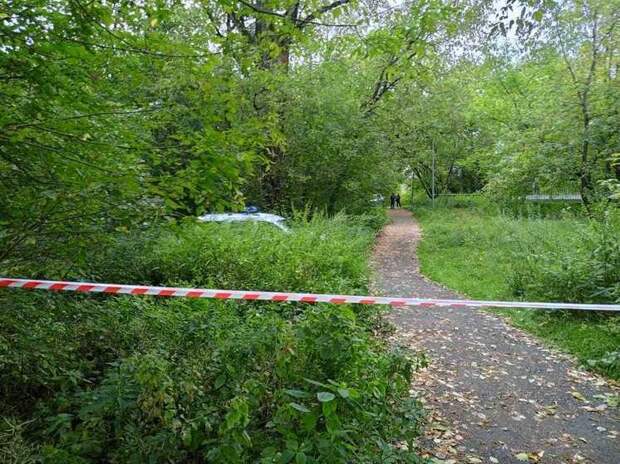 Упавший в лесополосе на Карамышевской набережной беспилотник не загорелся