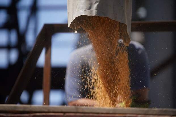 СБ РФ: конфликт на Ближнем Востоке угрожает продовольственной безопасности России