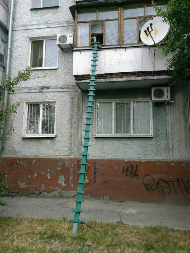 Выход для кота. | Фото: Instagram Online Viewer | Picpanzee. Выход для кота. | Фото: Instagram Online Viewer | Picpanzee.
