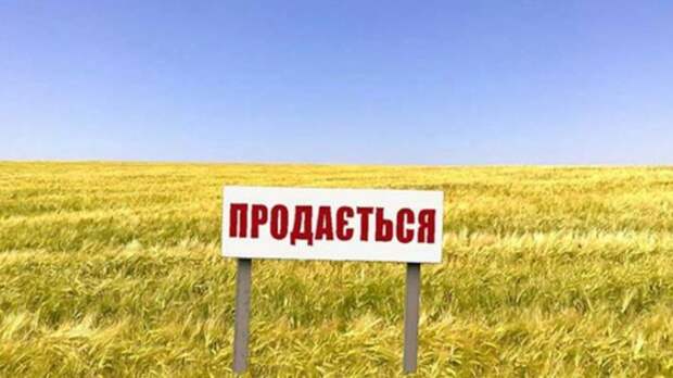 Эксперты считают, что продажа земли в Украине явно не ко времени, фото: mogilev.online