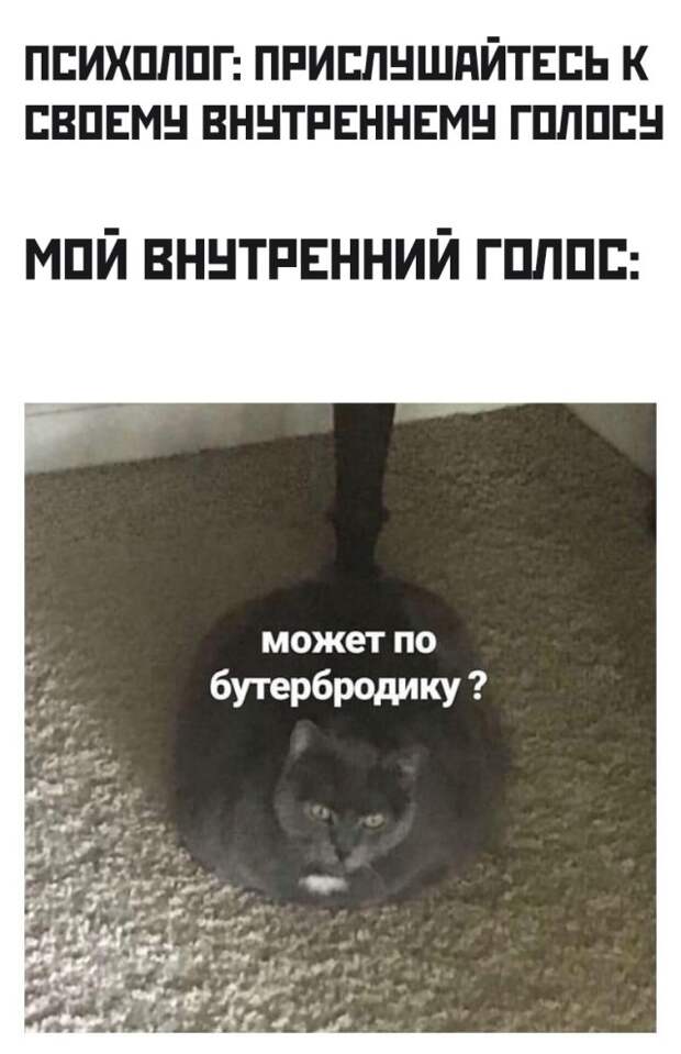 Подборка картинок вечерний выпуск 9 марта 2020