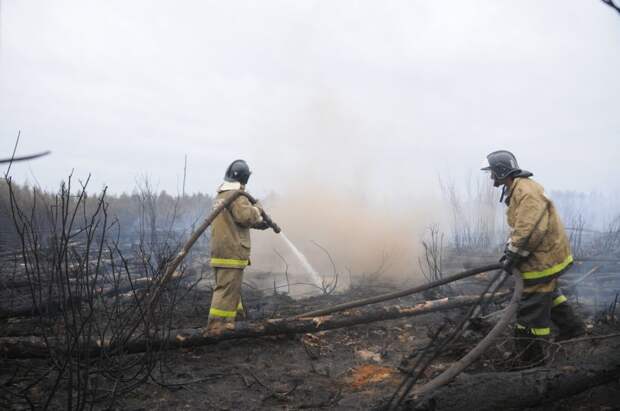 МЧС показало, как тушили лесной пожар в Рыбновском районе