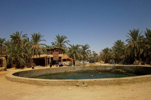 Оазис Сива. Фото из свободных источников.