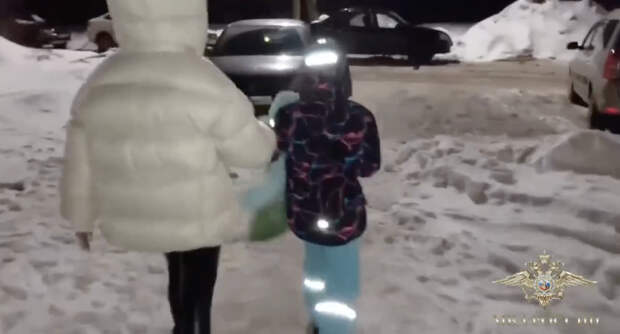 Самоубийством в СИЗО похитителя 9-летней девочки заинтересовался СК Смоленска