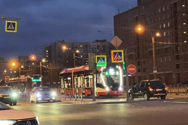 Стрельба притормозила трамваи на проспекте Просвещения