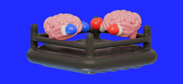 13.03.25==Кто умнее — муж­чины или жен­щи­ны: что об этом говорит наука