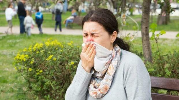 Россиянам назвали предполагаемые сроки начала сезона цветения и пыления растений
