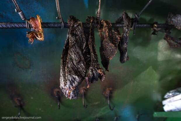 Как живут современные чукчи (29 фото)