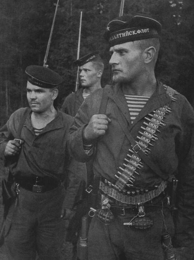 Полосатые дьяволы: морские пехотинцы на Великой Отечественной войне.