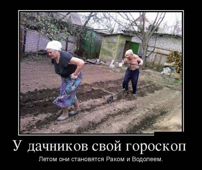 Демотиваторы (30 фото)