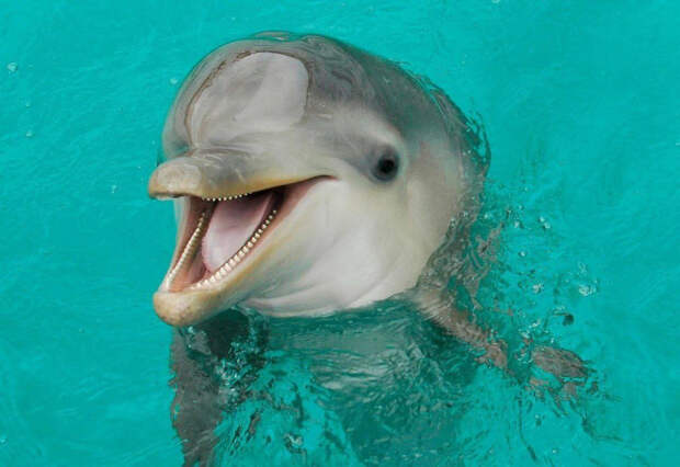 photo_2024-10-23_00-36-05 photo_2024-10-23_00-36-05