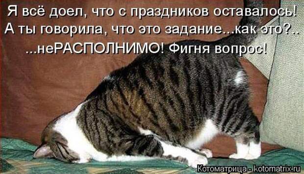 Лучшие котоматрицы недели Лучшие котоматрицы недели