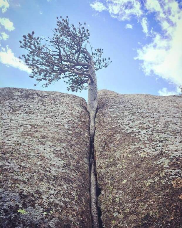 Life,Uh... Finds A Way Life,Uh... Finds A Way