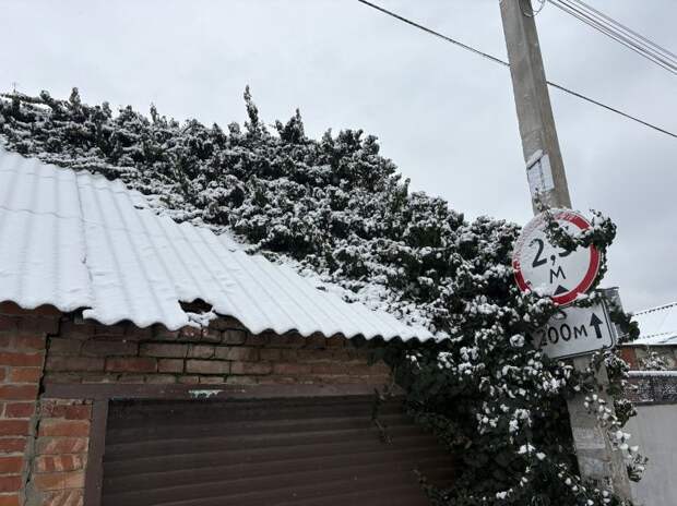 Долгожданное потепление идёт на Кубань: зима сдаёт позиции