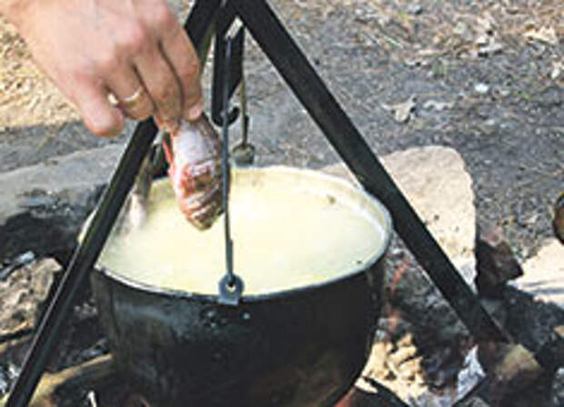 Я вам не консерва Я вам не консерва