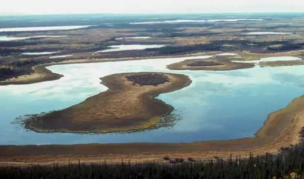 Ямал стал лидером по числу желающих работать вахтовым методом