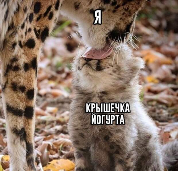 Главное это сделать аккуратно Главное это сделать аккуратно