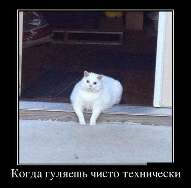 Демотиваторы (30 фото)