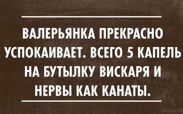 Смешные фразы из жизни женщин: Вы будете смеяться