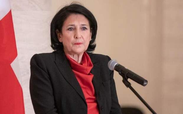 Сенатор Карасин: Зурабишвили, похоже, добивается нестабильности в Грузии