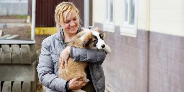 Собянин: 26 мая волонтеры вернутся в 13 приютов для бездомных животных/ Фото mos.ru