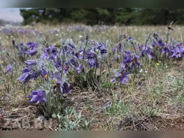 Самые жаркие и холодные дни  в мае – история погоды в Забайкалье