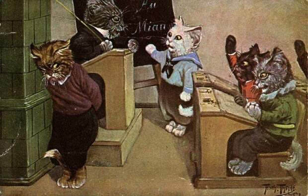 Немецкие ученые котики на старых открытках